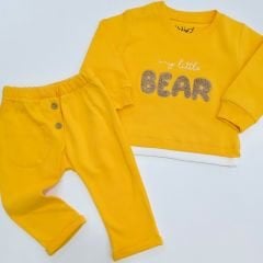 Baby wings bear süzene takım