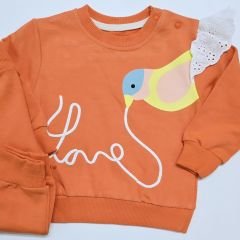 Chocukcha baby omuzu dantelli kuşlu takım